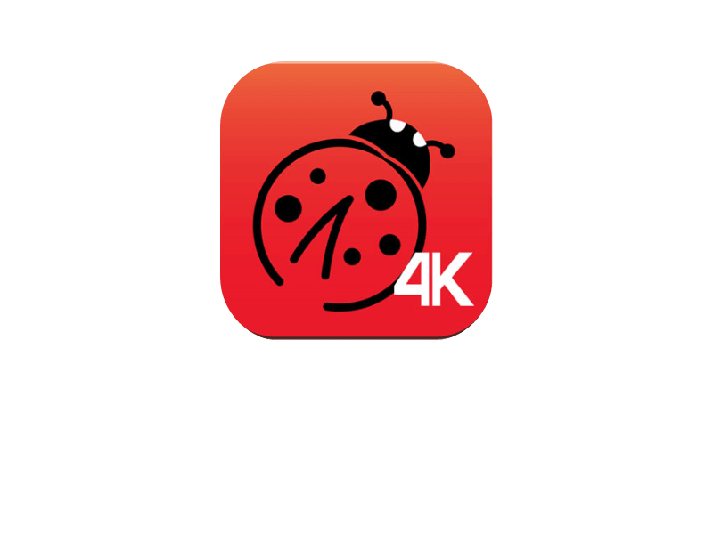 Ladibug Software